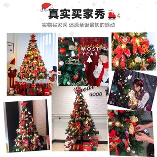 南洋杉盆栽盆景圣诞树氛围感云杉澳洲杉树节日四季常青室内装饰