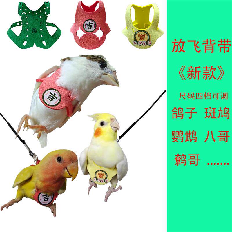热销鸟类放飞背带玄凤虎皮款+不伤鸟放飞绳遛鸟用配件