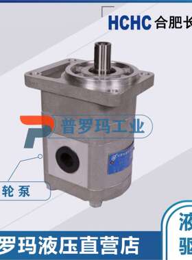 长源齿轮油泵CBTD-F410/F414-ALP/AFP/AFPL/ALH/ALHL/ALH4/AFH4