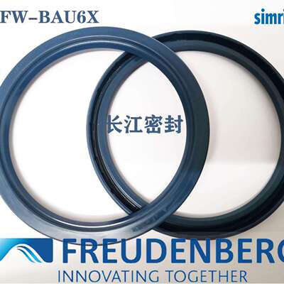 CFW BAFUDSLX7 90-120-12德国进口骨架油封SIMMERRING FREUDENBER