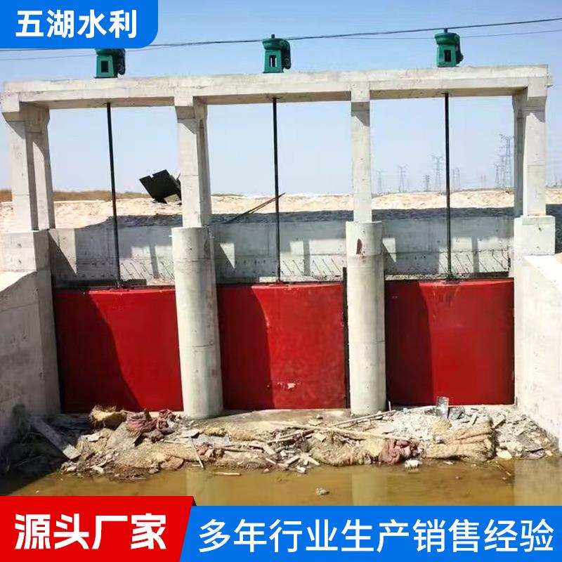 双向止水铸铁镶铜圆闸门水库沟渠农田灌溉平板手动电动方形闸门