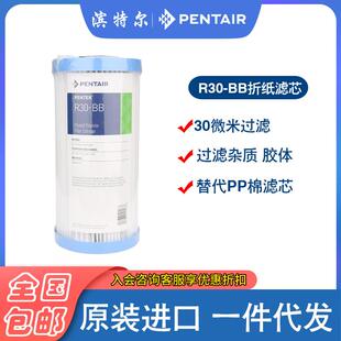 滨特尔蓝瓶10寸大胖折纸R30-BB滤芯原装进口过滤器通用可清洗滤芯