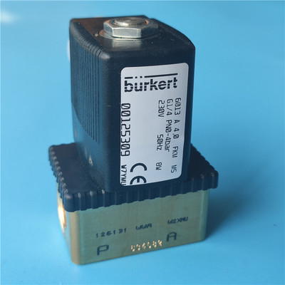 burkert6013铜不锈钢电磁阀