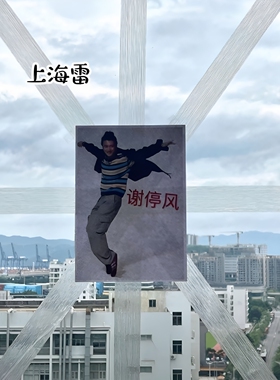 防台风邪修神器！谢停风玻璃窗贴