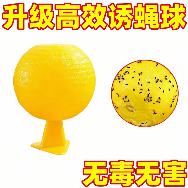 室内去除蚊虫强力粘诱捕器