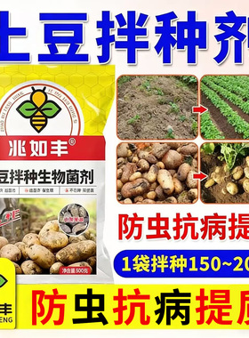 胖土豆增产专用拌种剂防病抗菌虫高产包衣剂提高出芽率生根壮苗肥
