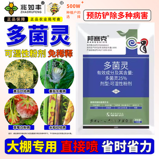 喷粉专用25%多菌灵杀菌剂油菜菌核病水稻稻赤霉病瘟病杀菌剂正品