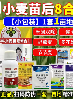 兆如丰小麦苗后专用除草套装禾阔双除一季不长草返青后专用农药剂