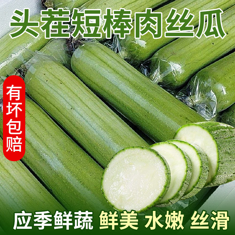 肉丝瓜新鲜短棒丝瓜批发农家自种现摘新鲜青丝瓜当季时令蔬菜