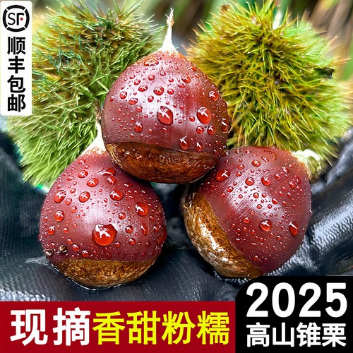 关注送开口器顺丰包邮