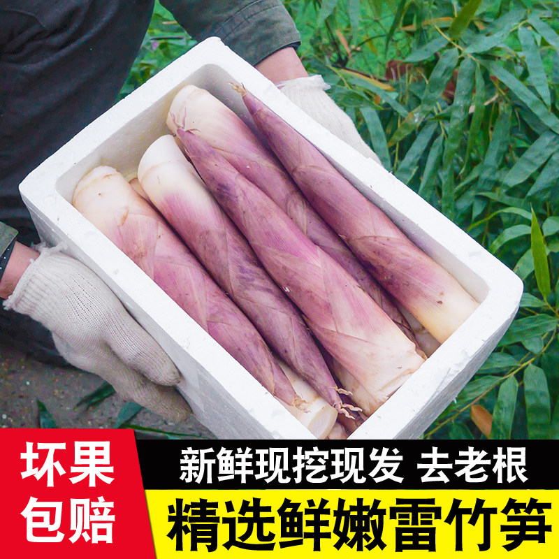现挖新鲜雷竹笋春笋带壳雷笋冬笋竹笋蔬菜红泥鲜嫩笋尖腌笃笋油焖,水产肉类/新鲜蔬果/熟食,竹笋,淘宝优惠券,粉丝福利购,淘宝优惠卷