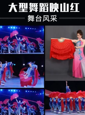 原版真丝舞蹈扇子跳舞扇双面纯色