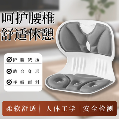 人体工学护腰坐垫矫正椅支撑座椅
