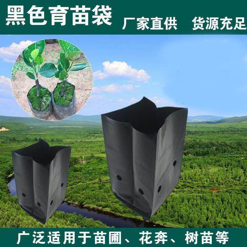槟榔咖啡黑色塑料育苗袋种植袋