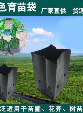 咖啡育苗袋槟榔黑色塑料育苗袋营养钵营养袋树苗专用百香果种植袋