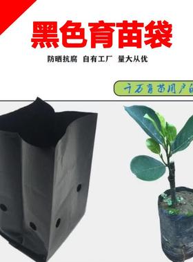 育苗袋营养杯百香果树苗加厚咖啡黑色塑料育苗袋营养袋槟榔种植袋