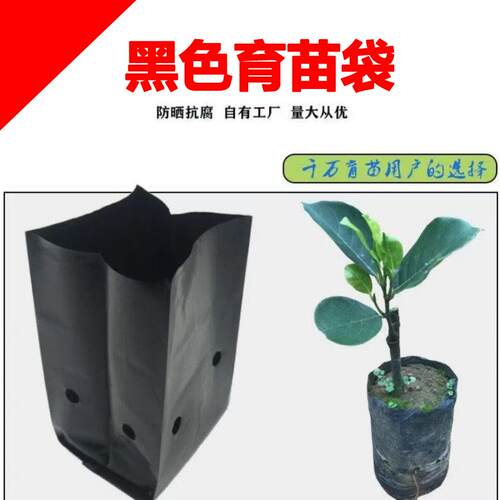 育苗袋营养杯百香果树苗加厚咖啡黑色塑料育苗袋营养袋槟榔种植袋