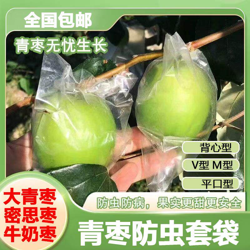 青枣套袋大冬枣牛奶蜜丝枣苹果枣袋子百香果专用防虫套袋透明套袋