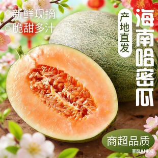 哈密瓜海南新鲜网纹蜜瓜礼盒官方旗舰店玫珑西州蜜瓜香甜整箱包邮