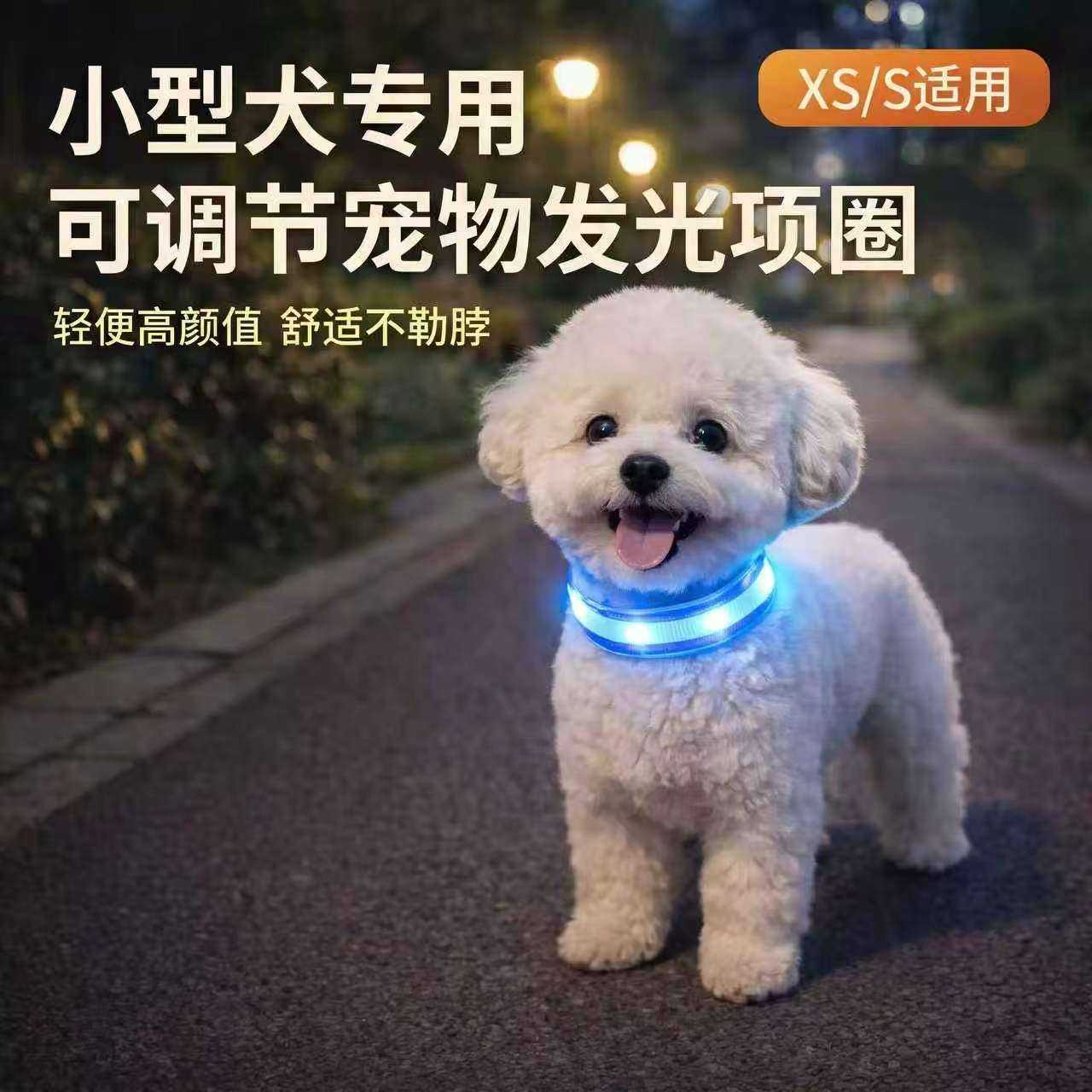 小型犬专用发光夜光项圈|比熊+