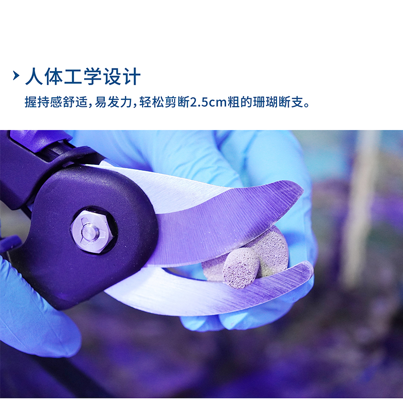 迈光珊瑚剪刀海水鱼缸工具不锈钢剪子SPS断枝珊瑚钳珊瑚造景工具