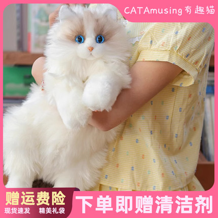 网红同款仿真猫咪布偶玩偶娃娃仿生陪伴背包小猫猫安抚生日礼物