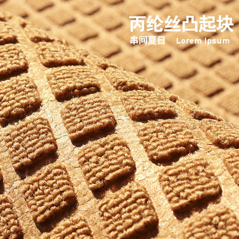 丙纶玄关商户地垫吸水防滑蹭脚垫家用别墅入户门口门垫子耐脏地毯