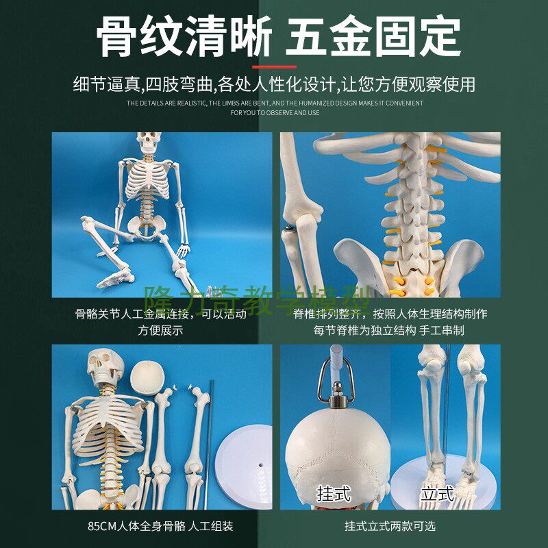 极速85CM人体骨骼带椎间盘神经根骨架骷髅标本模型小针刀悬挂式软