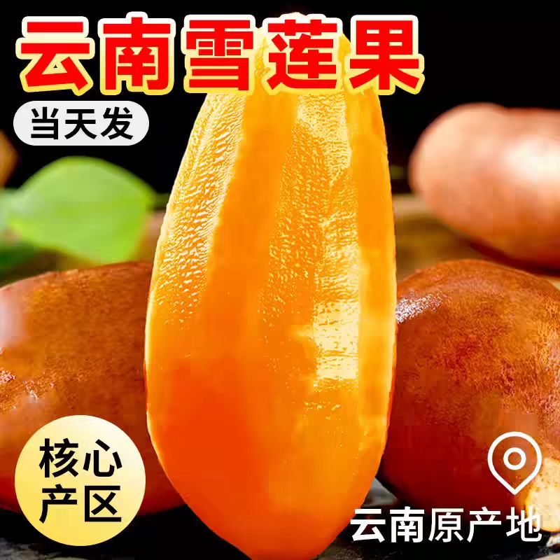 现挖云南天山雪莲果大果应当季时令新鲜水果甜脆孕妇批发整箱包邮
