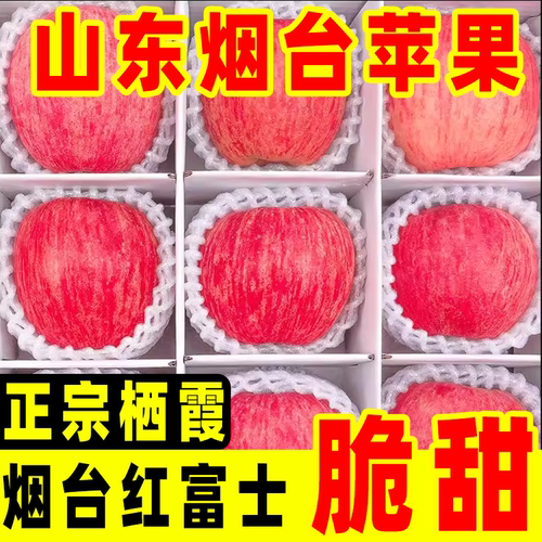 【包邮】正宗烟台红富士苹果脆甜