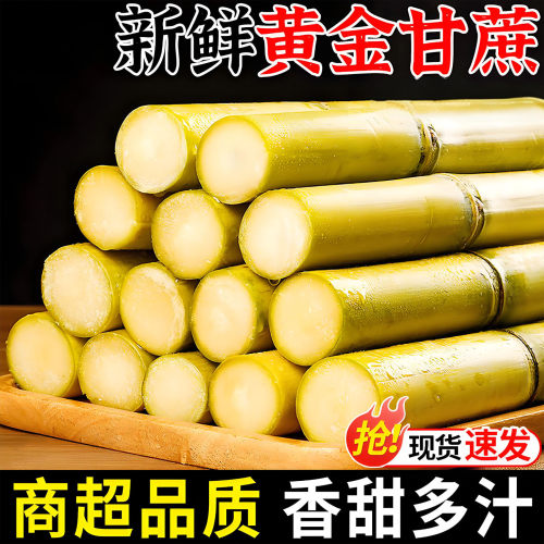 云南黄金甘蔗脆甜多汁，仅限一单