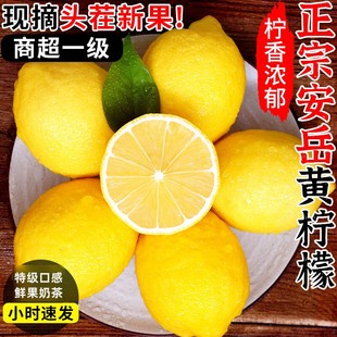 四川安岳黄柠檬1斤新鲜水果奶茶店专用皮薄柠檬一级柠檬 包邮