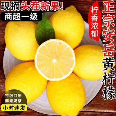 四川安岳黄柠檬1斤新鲜水果奶茶店专用皮薄柠檬一级柠檬包邮10