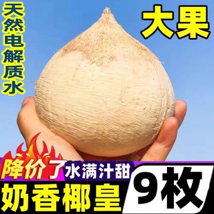 海南牛奶椰皇9个装 煲鸡汤老椰子肉椰汁孕妇整箱30 新鲜椰青当季
