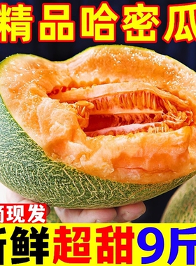 现摘哈密瓜新鲜水果斤西州蜜瓜当季老汉瓜网纹甜瓜香一整箱包邮82