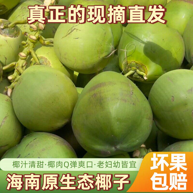 正宗海南椰子新鲜奶香椰海南特产纯天然带皮椰青孕妇水果汁水多31