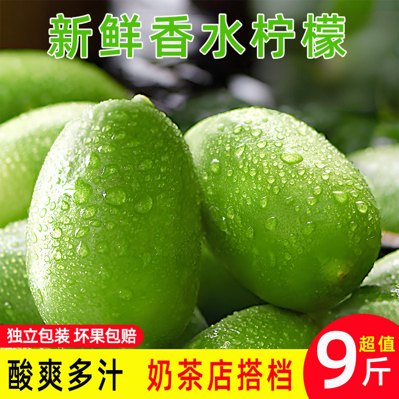 现摘香水柠檬奶茶店专用新鲜鲜果海南青柠水果一二级果无籽正宗