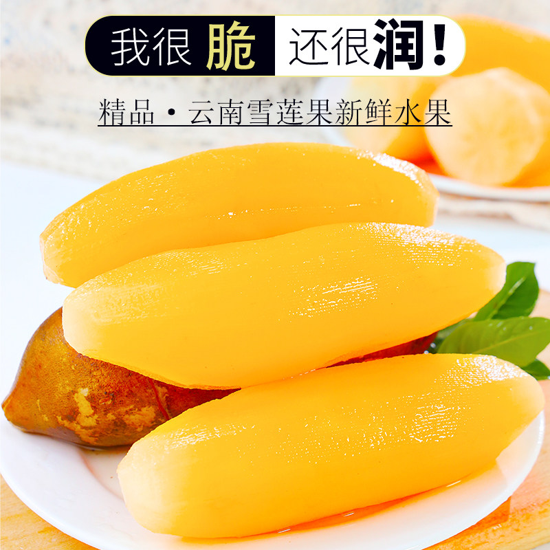 天山云南雪莲果净重仅限一单