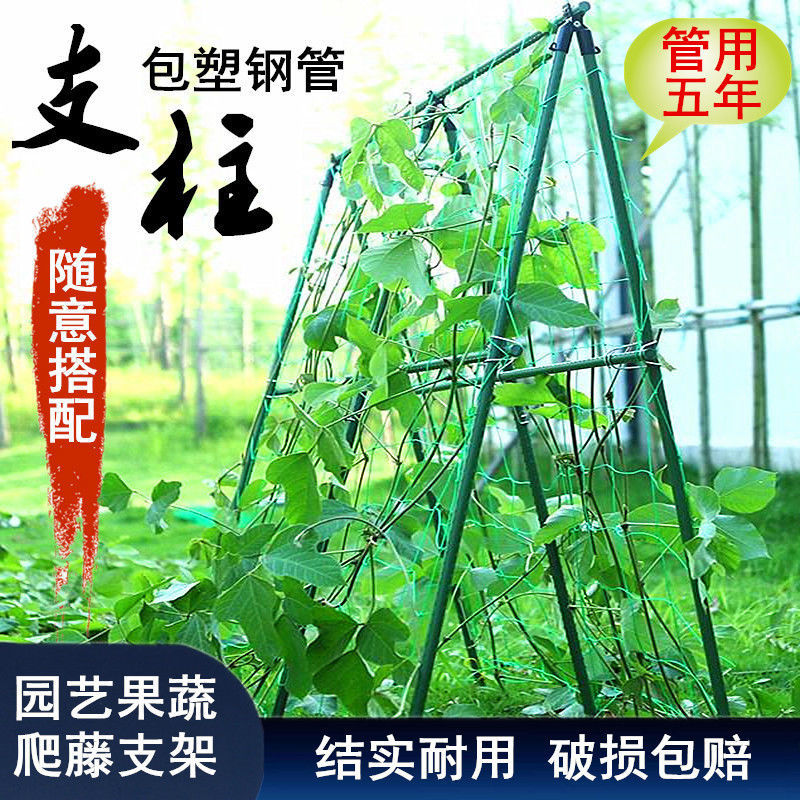 极速新款君吻丝瓜棚架子爬藤植物固定支架支伸缩杆阳台庭院花架黄