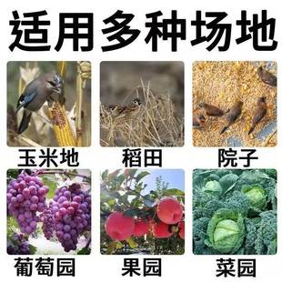 驱鸟剂驱鸟药神器阳台果园农用田蔬菜地驱鼠虫害麻雀喜鹊强效工具