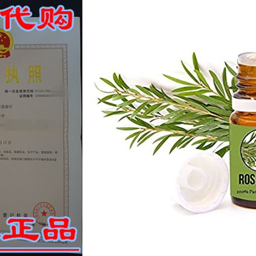 Aromazotika 1 Ounce Rosemary Essential Oil - Pure, Natura