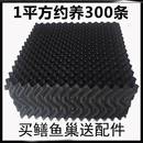 黄鳝养殖巢巢立体水产养殖设备塑料蜂窝鱼槽热卖 渔业用具鳝鱼巢
