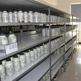 平菇姬菇秀珍菇食用菌种原种蘑菇生产生料熟料种栽培种母种玉米芯