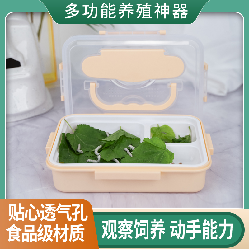蚕宝宝学生养蚕套装蚕宝宝饲养盒房子手提孵化盒送新鲜桑叶全套