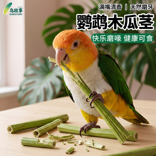 鸟故事鹦鹉木瓜茎啃咬磨牙棒玩具