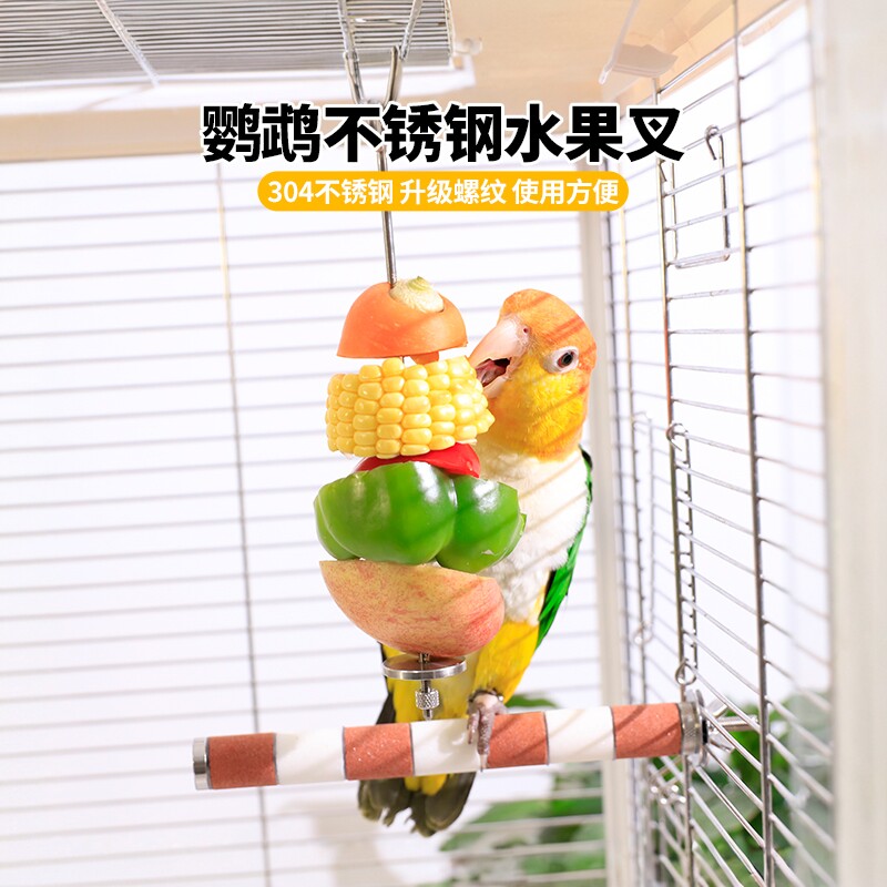 鸟用不锈钢鹦鹉水果叉签鹦鹉玩具鹦鹉用品大全喂水果鸟笼配件挂钩
