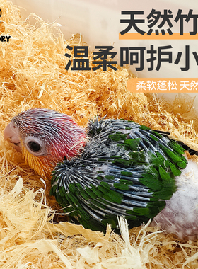 鹦鹉垫料竹绒雏鸟除臭保温繁殖孵蛋粪便清洁专用新型无尘木屑尿垫