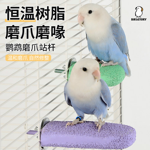 鸟故事鹦鹉雪糕站杆不掉渣不伤爪