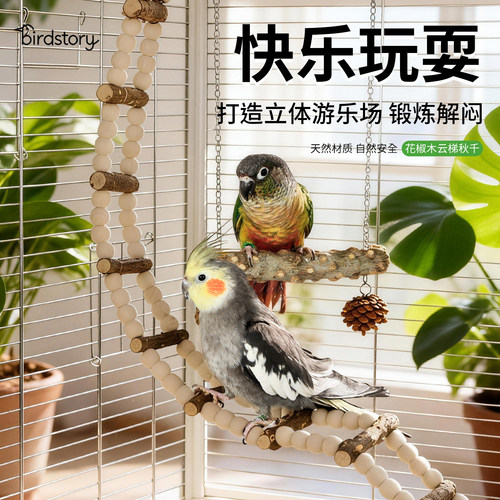 鹦鹉解闷攀爬云梯秋千吊桥玩具