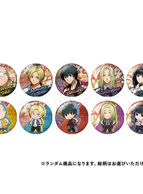 TMS 坂本日常 盲抽马口铁徽章/挂件/收藏卡日谷集合ZK